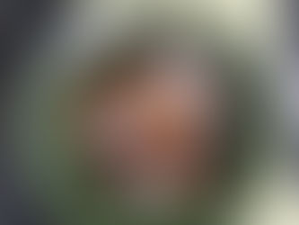 แสงสรวงสัชชนาไลย ๓ : ชมเมืองสวรรคโลก (๒)