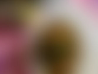 ข้าวบ้าน