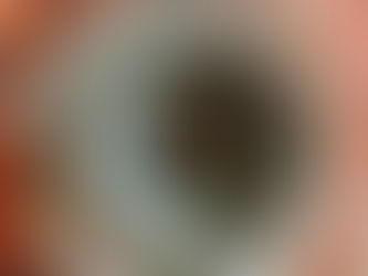 สู่แผ่นดินพระร่วงเจ้า (๒)