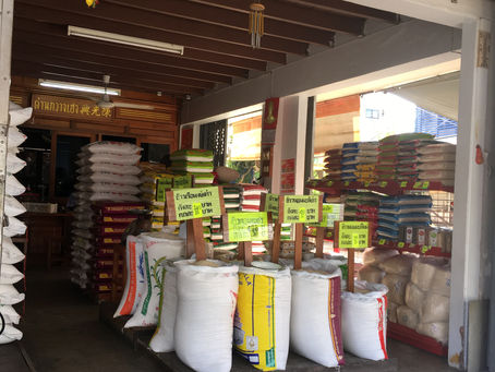 แสงสรวงสัชชนาไลย ๓ : ชมเมืองสวรรคโลก (๑)