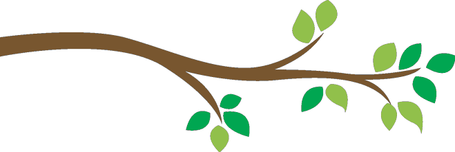 Tree Limb