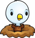 Little Eagle in Nest