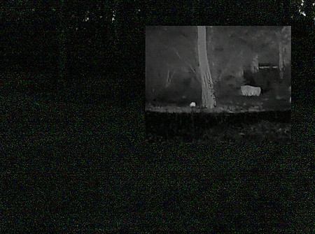 csi_20241108-222722_edited.jpg