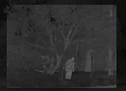 ed Frame_screenshot_14.06.2024.png