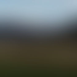 Ablege und Gehorsamsprüfung - Wie bereite ich mich vor.