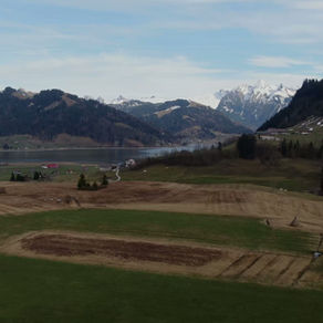 Ablege und Gehorsamsprüfung - Wie bereite ich mich vor.