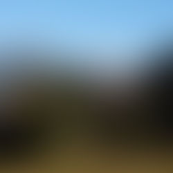 Jahresbericht unsres Präsidenten Paul Heinzer