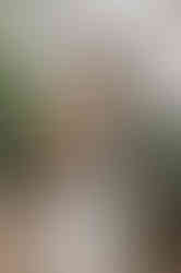ALVITO 2