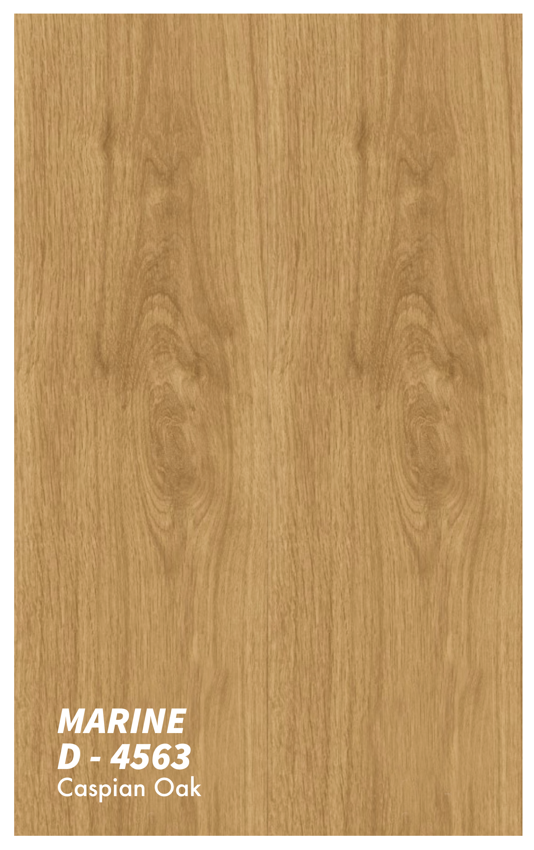 Caspian Oak D - 4563 - MARINE