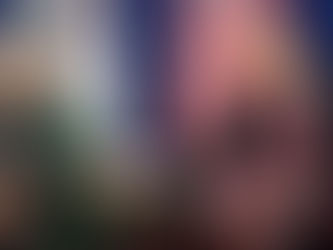 Display of US Idiosyncrasy