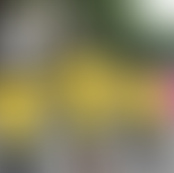 Swami Vivekanand Run Returns to Powai on Sept 21