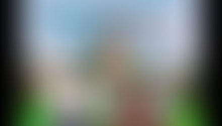 DENIAL OF NON FUNCTIONAL UPGRADE (NFU) TO DEFENCE FORCES
Brig BL Poonia, VSM (Retd)