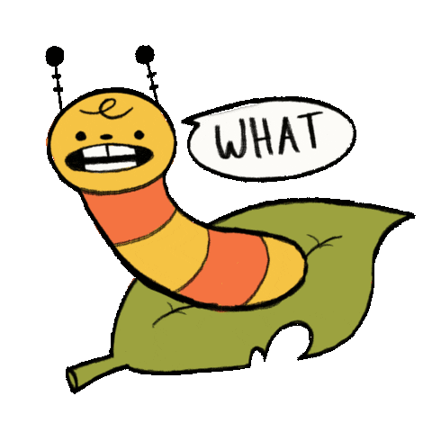 giphy (5).gif