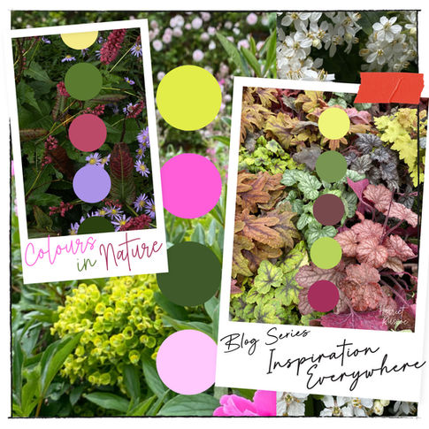 Inspiration Everywhere 07: Colour Palettes in Nature