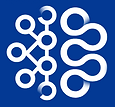 CNE Logo.png