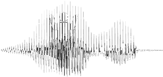 Soundwave_edited_White.png