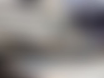 ちりめん漁始まりました