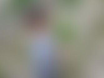 夏野菜に向けて