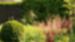 Planting.jpg