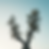 Gemini_Generated_Image_obitwzobitwzobit.png