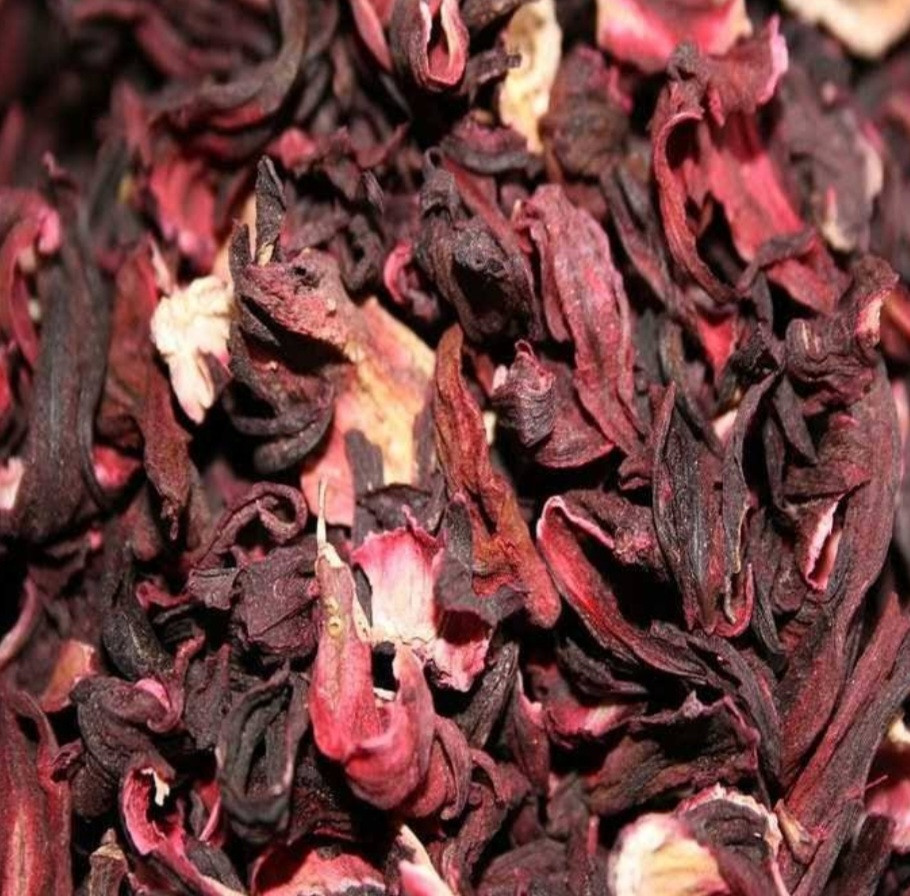 Hibiscus