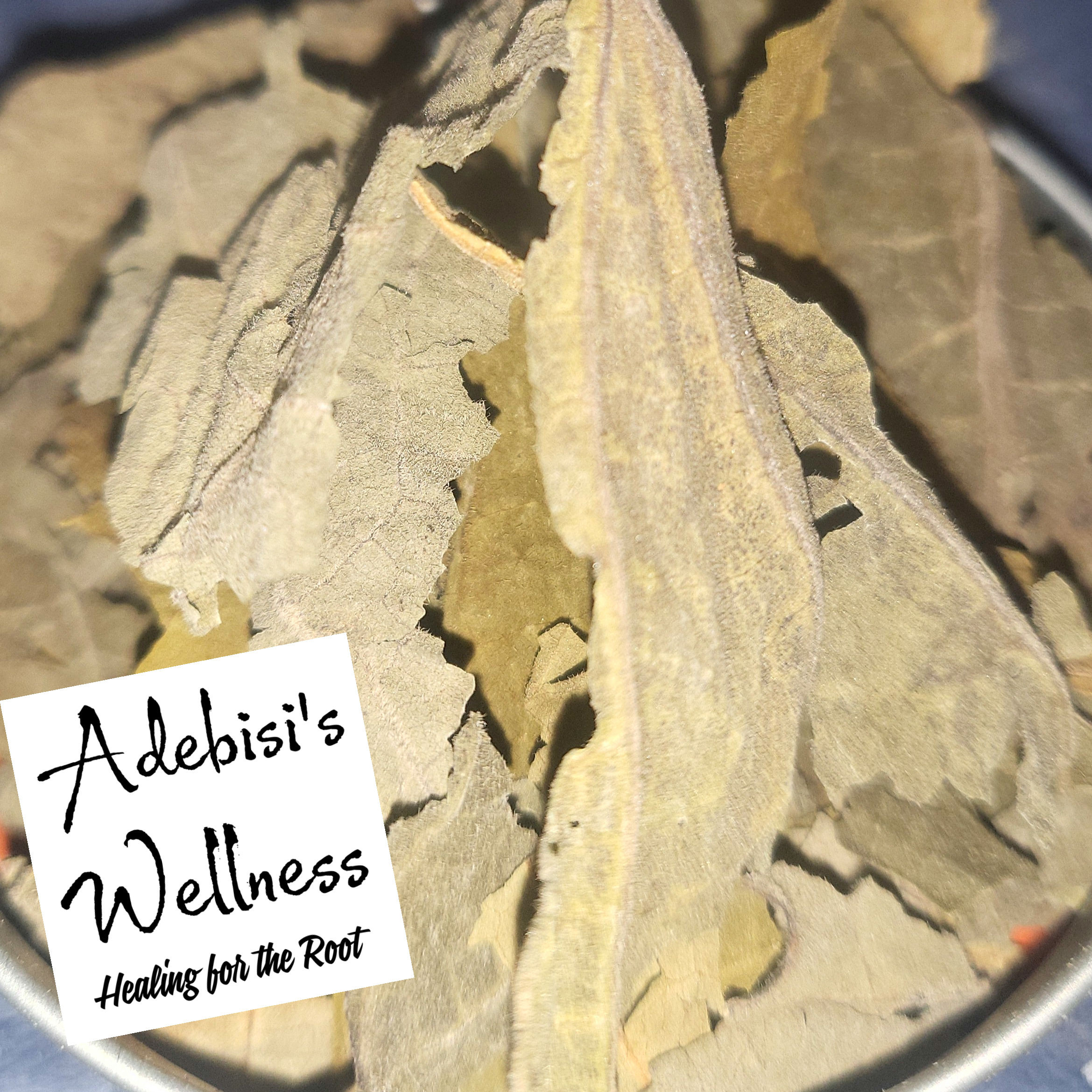 Yerba Santa leaves
