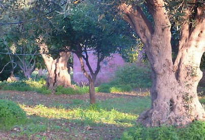 Gebbia vom weiten aus Garten.jpg