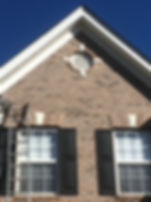 squirrel damage repair charlotte