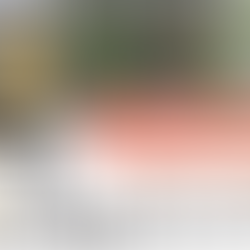 BOIL期間限定お試し利用キャンペーン開催!