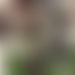 JOOLA PRO V: A LAZY ITERATION OR A MAJOR UPGRADE?