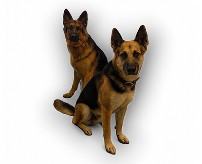 Photoroom-20250212_224136.png