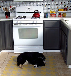TADA & Backsplash3.jpg