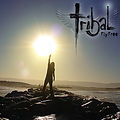 Tribal Fly Free Album Artwork