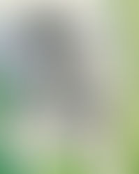 Não nascemos apenas uma vez!