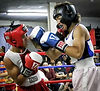 IMG_8130.jpg