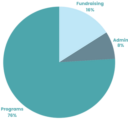 2025 Fund Allocation AMP