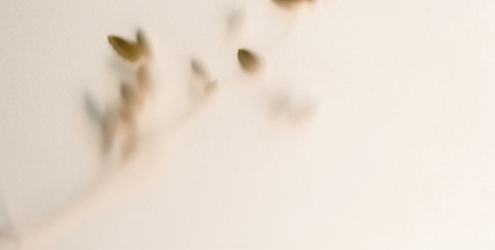 kasia-sikorska-iMgi62f5MsE-unsplash_edited.png