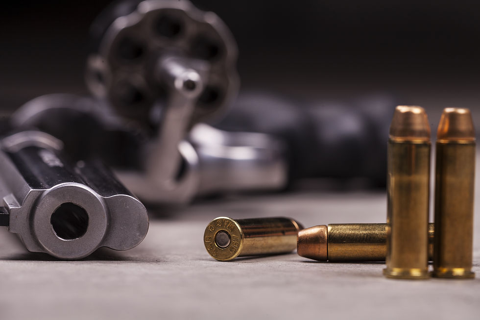 Prescott Valley guns