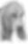 hound_edited.png