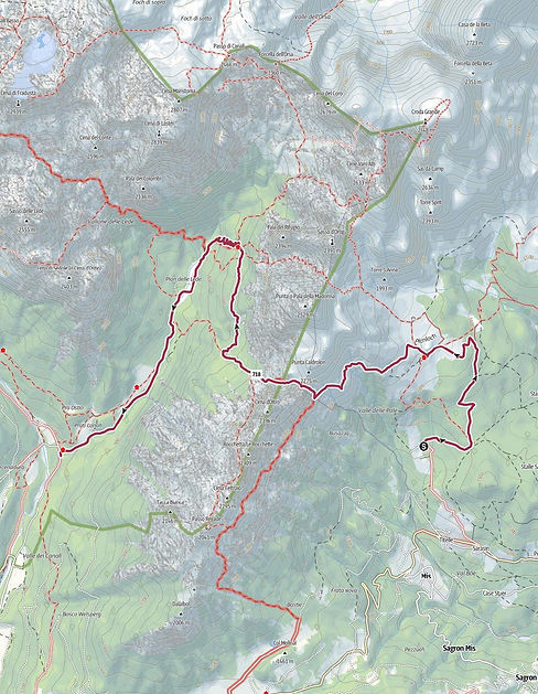 piantina domadore oltro.jpeg