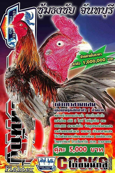 ธงชัยจันทบุรีฟาร์ม