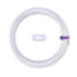 Tutu hoop