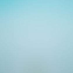 Pronto más novedades de Estados Unidos