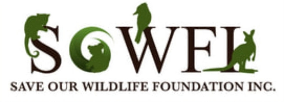 Save Our Wildlife Foundation Inc.