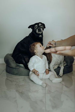 Sesión de fotos de familia, bebé, a domicilio Madrid