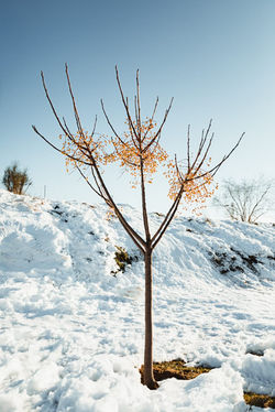 Fotografía paisaje nevado en Madrid