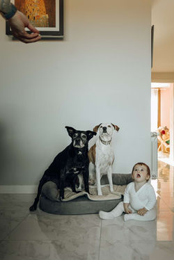 Sesión de fotos de familia, bebé, a domicilio Madrid