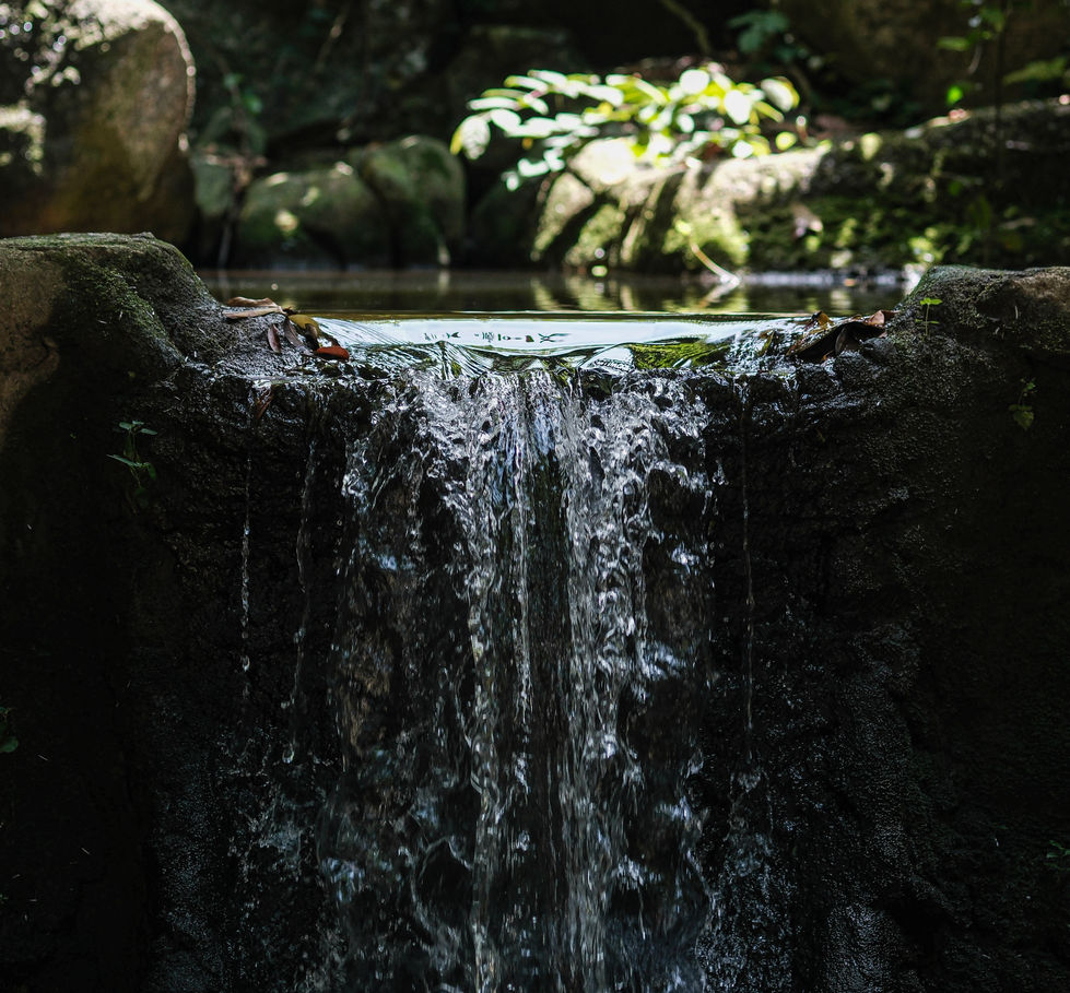 64-DSCF9935.jpg