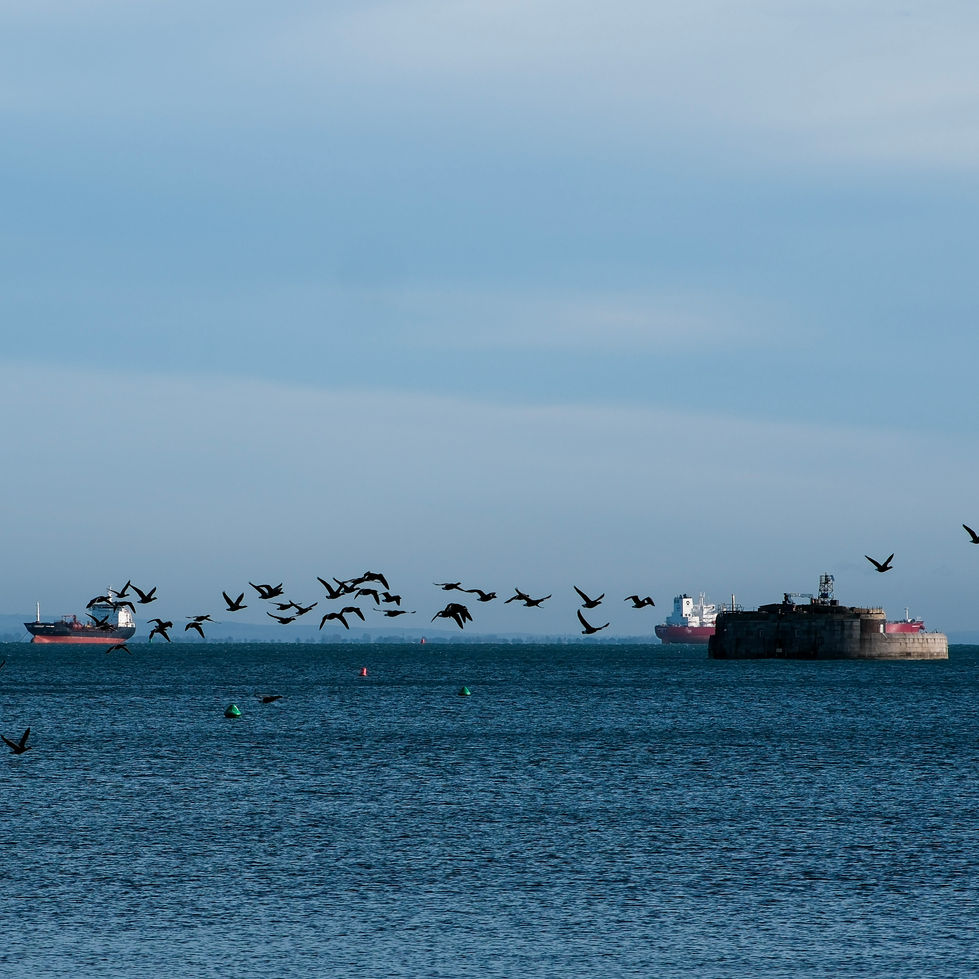 DSCF2650.jpg