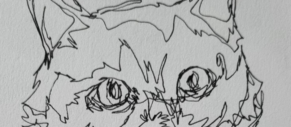 Research and Conceptual Sketches of Cats